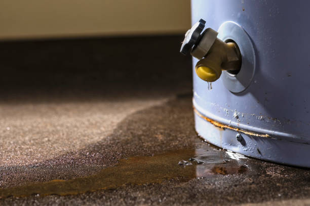 Best 24/7 water damage repair  in Spicer, MN
