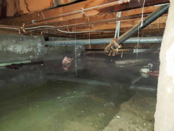 Best Fire Damage Restoration  in Spicer, MN