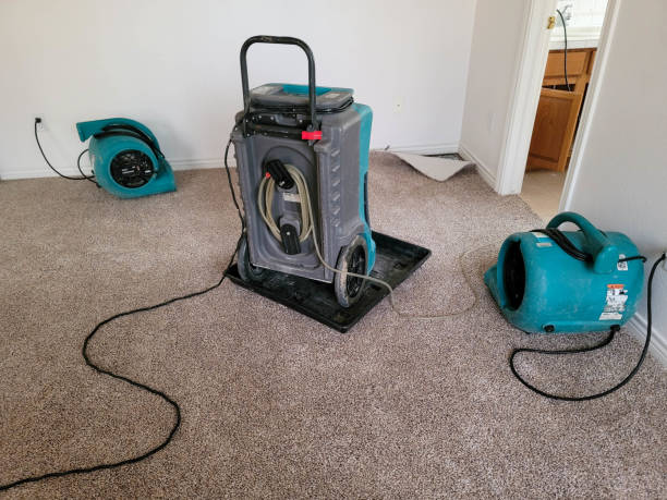 Spicer, MN Water damage restoration Company