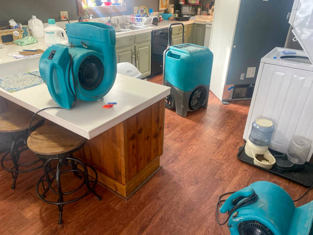 Best Water damage restoration near me  in Spicer, MN