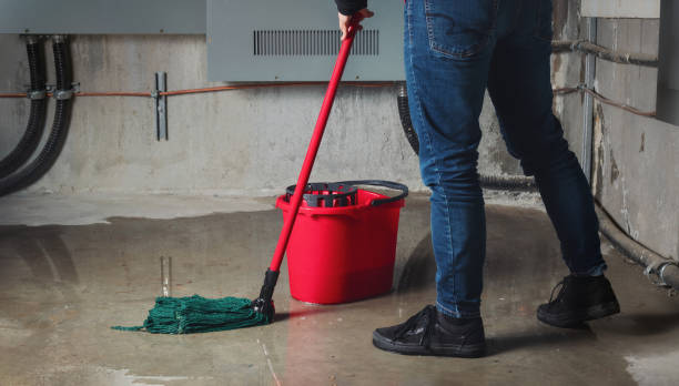 Best Ceiling water damage repair  in Spicer, MN