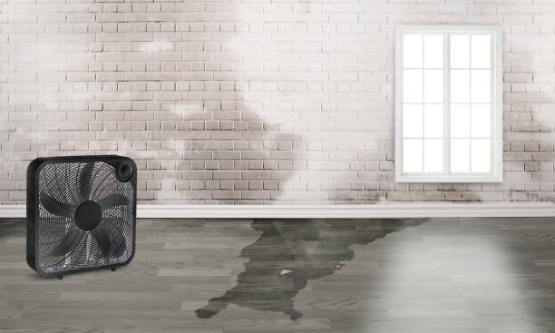 Best 24-hour water damage restoration  in Spicer, MN