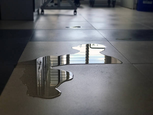 Best Water damage mitigation services  in Spicer, MN