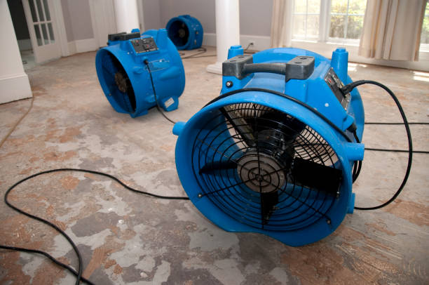  Spicer, MN Water damage restoration Pros