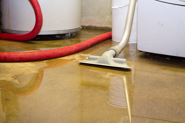 Best Water damage restoration services  in Spicer, MN